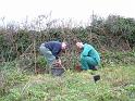 Planting Trees 009